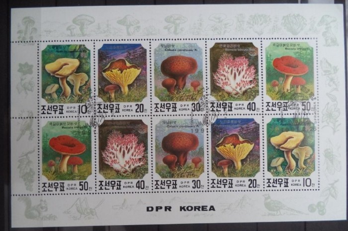KOREA 1991 – CIUPERCI COMESTIBILE, bloc stampilat, TR115 foto mare KOREA 1991 – CIUPERCI COMESTIBILE, bloc stampilat, TR115 foto mare
