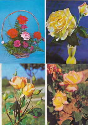 bnk cp Romania - Flori - lot 10 carti postale necirculate foto