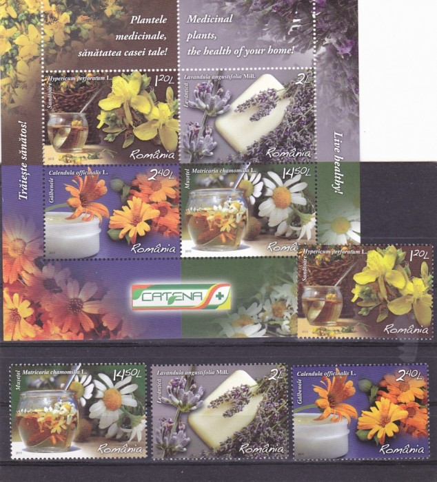 PLANTE MEDICINALE,2015,BLOC + SERIE,neuzata ,MNH ROMANIA foto mare PLANTE MEDICINALE,2015,BLOC + SERIE,neuzata ,MNH ROMANIA foto mare