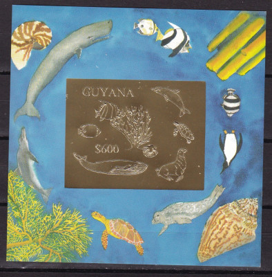 Guyana 1993 fauna MI bl.246 aurit MNH w50 foto