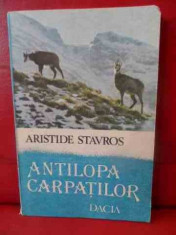 Antilopa Carpatilor - Aristide Stavros ,540185 foto