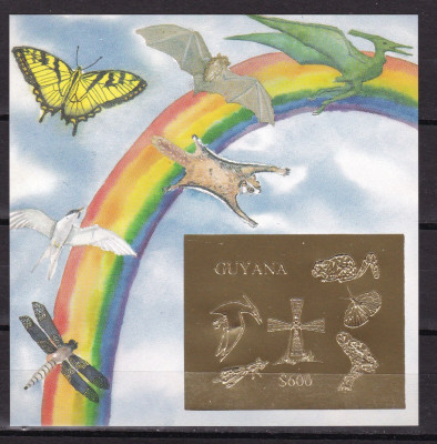Guyana 1993 fauna MI bl.248 aurit MNH w50 foto