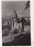 bnk cp Sinaia - Muzeul Peles - necirculata