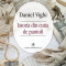 Istoria din cutia de pantofi - Daniel Vighi