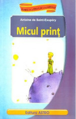 Micul print - Antoine de Saint-Exupery foto