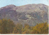 bnk cp Sinaia - Cota 1400 vazuta din Vf Piscul Cainelul - necirculata