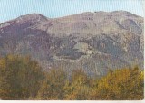 Bnk cp Sinaia - Cota 1400 vazuta din Vf Piscul Cainelul - necirculata, Printata