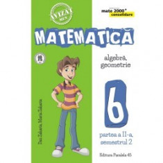 Matematica. Algebra, geometrie. Clasa a VI-a. Consolidare. Partea a II-a. Semestrul II foto