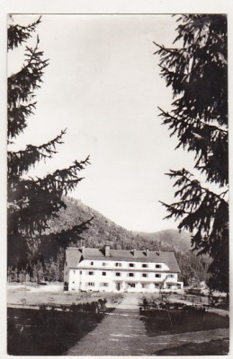 bnk cp Covasna - Sanatoriul de cardiologie - necirculata foto