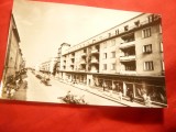 Ilustrata - Satu Mare - Vedere , anii &#039;50, Necirculata, Fotografie