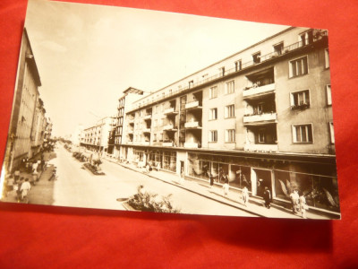 Ilustrata - Satu Mare - Vedere , anii &amp;#039;50 foto