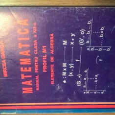 Matematica, clasa a XII-a, Profil M1 - Elemente de algebra - Mircea Ganga (2007)