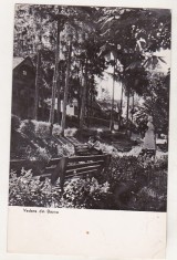 bnk cp Bazna - Vedere - necirculata