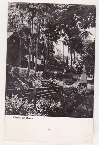 bnk cp Bazna - Vedere - necirculata
