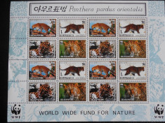 Bloc serie timbre fauna animale feline pantera nestampilate Coreea de Nord foto