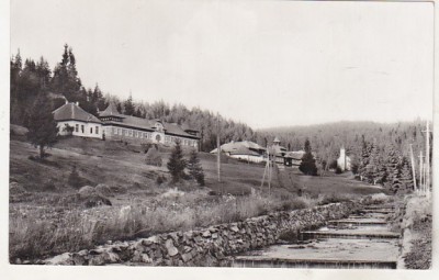 bnk cp Stana de Vale - Vedere - necirculata foto
