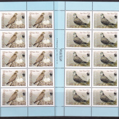 Kirghistan 2009 fauna pasari WWF 4 kleib. MI 579- 582 MNH w50