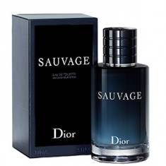 Christian Dior Sauvage EDT Tester 100 ml pentru barbati foto