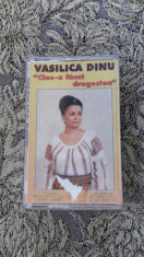 Vasilica Dinu - CINE-A FACUT DRAGOSTEA foto