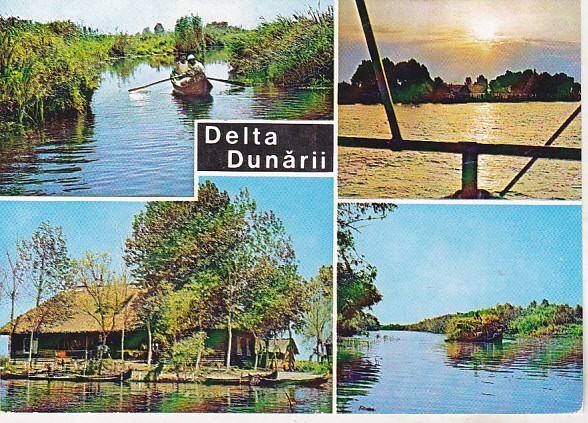 bnk cp Delta Dunarii - Vedere - necirculata - marca fixa