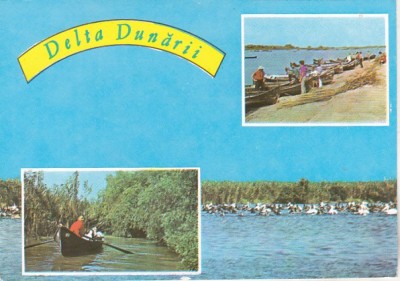 bnk cp Delta Dunarii - Vedere - necirculata - marca fixa foto