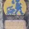 DUMBRAVA MINUNATA - MIHAIL SADOVEANU ANUL 1991 ,STARE FOARTE BUNA .