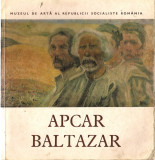 Apcar Baltazar - Catalog expozitie retrospecriva - 1981, Alta editura