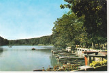 Bnk cp Sibiu - Lacul Dumbrava - necirculata, Printata