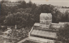Cluj Napoca aprox. 1960 - Gradina botanica foto