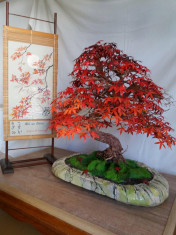 Bonsai artificial handmade foto
