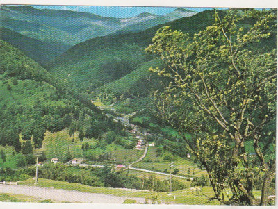 bnk cp Peisaj pe Valea Dambovitei - Vedere - necirculata foto