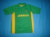 Cumpara ieftin TRICOU DE FOTBAL DE COPII JAMAICA ORIGINAL