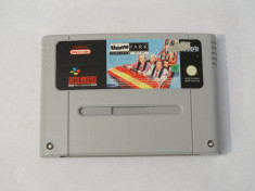 Joc Super Nintendo SNES - Theme Park foto