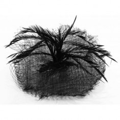 Black Mesh Hat Feather Fascinator - LSH00118 foto