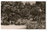 CPI B 10309 CARTE POSTALA - CLUJ. VEDERE DIN GRADINA BOTANICA, RPR