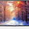 Televizor LED Sharp 139 cm (55inch) 55CFE6241, Full HD, Smart TV