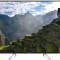 Televizor LED Panasonic 125 cm (49inch) TX-49EX600E, Ultra HD 4K, WiFi, CI+