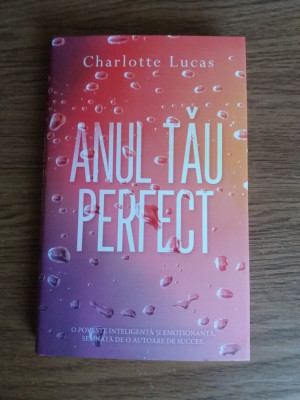 Anul tau perfect Charlotte Lucas foto