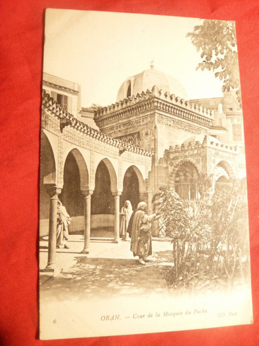 Ilustrata Algeria - Moscheea Pocha -Oran , interbelica