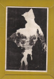 BUCURESTI PARCUL LIBERTATII 1950, Necirculata, Printata
