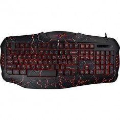 Tastatura Gaming Iluminata Myria Mg7508 foto