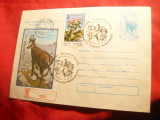 Plic special ilustrat stamp. -Semicentenar Parc National Retezat cod 124/85