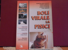 BOLI VIRALE LA PISICI [FIV, FeLV, FeSV ]- MANIFESTARI, CAUZE, TRATAMENTE-83PAG. foto