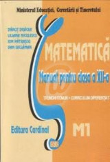 Matematica. Manual pentru clasa a XII-a, M1 foto