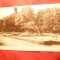 Ilustrata Buzias - Grupa mare de Flori 1945 Ed. Florescu Craiova ,pliat central