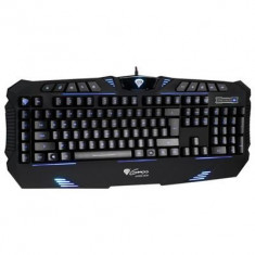 Tastatura Gaming Iluminata Natec Genesis Rx66 foto