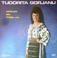 Neicuta din Targu Jiu - Tudorita Gorjanu (Vinil) foto