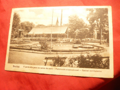 Ilustrata Buzias - O parte din Parc cu Salon Cura 1931 foto