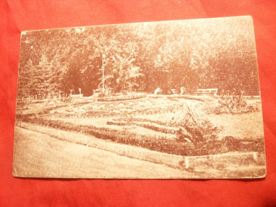 Ilustrata Buzias - Promenada Parcului cca. 1940 foto