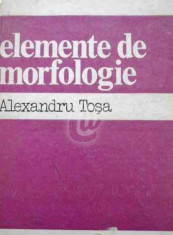 Elemente de morfologie foto